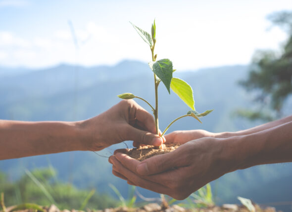 Concept of environmental conservation in the garden for children.