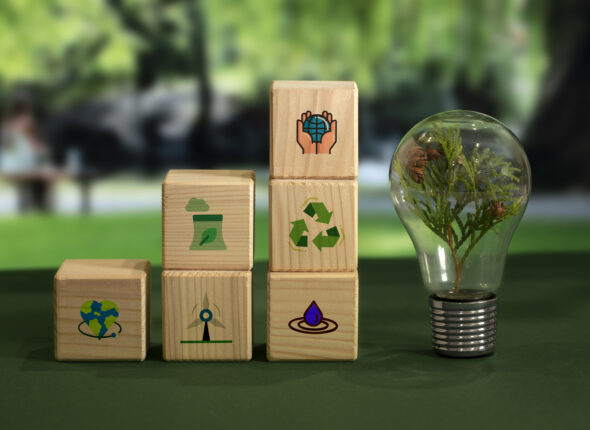 sustainable-development-goals-still-life 1